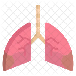 Lungs  Icon