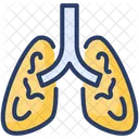 Lungs Respiration Organ Icon