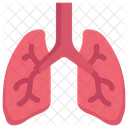Anatomy Organ Biology Icon