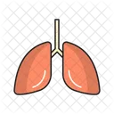 Lungs Breath Body Icon