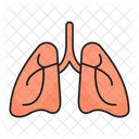 Lungs Breath Pulmonology Icon