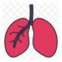 Lungs Body Breath Icon