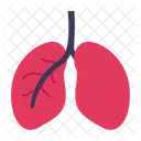 Lungs Body Breath Icon