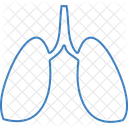 Lungs Body Bodypart Icon