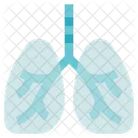 Organ Anatomy Lungs Breath Icon