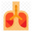 Lungs Human Anatomy Icon
