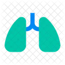 And Respiratory System Icon
