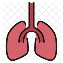 Lungs Anatomy Organ Icon
