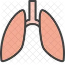 Lungs Breath Organ Icon