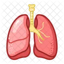Lungs Medical Healthcare Icon