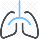 Lungs Human Breathe Icon