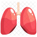 Lungs Organ Body Part Icon