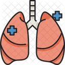 Lungs Medical Organ Icon