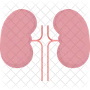 Lungs Breath Physiology Icon