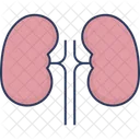 Lungs Breath Physiology Icon