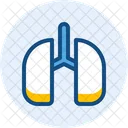 Lungs Medical Anatomy Icon
