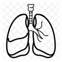 Lungs Medical Healthcare Icon