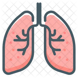 Lungs  Icon