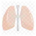 Lungs Pulmonology Lung Icon