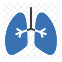 Lungs Breath Exercise Icon
