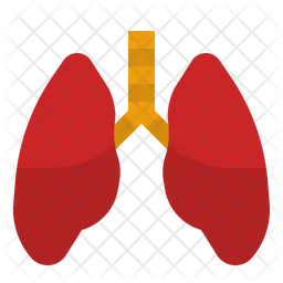 Lungs  Icon