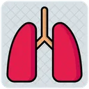 Lungs Anatomy Breath Icon