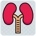 Lungs  Icon