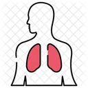 Lungs Human Organ Body Anatomy Icon
