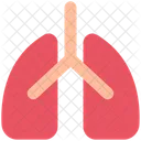 Lungs  Icon