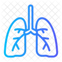 Lungs  Icon