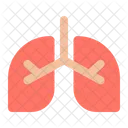 Lungs Thorax Anatomy Icon