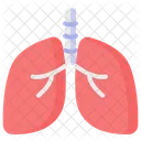 Lungs Anatomy Lung Icon