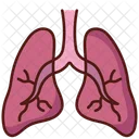 Lungs  Icon