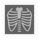 Lungs X Ray Copy Icon
