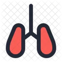 Lungs Bronchodilator Puffer Icône