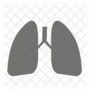 Lungs Healthcare Medicine Icon