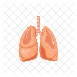 Lungs  Icon