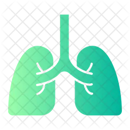 Lungs  Icon