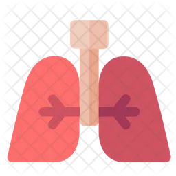 Lungs  Icon