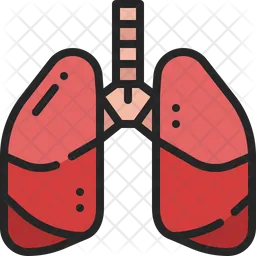 Lungs  Icon