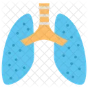 Lungs Organ Anatomy Icon