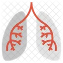 Lungs Lungs Vain Disease Icon
