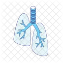 Lungs Lung Organ Icon