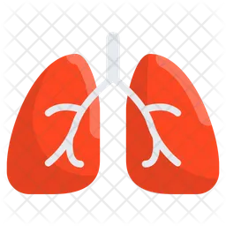 Lungs  Icon