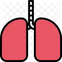 Lungs Organ Healthcare Icon