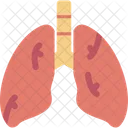 Lungs Body Human Icon