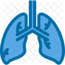 Lungs Body Human Icon