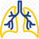 Lungs  Icon