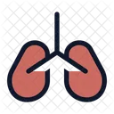 Co Lungs Lungs Organ Icon