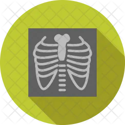 Lungs  Icon